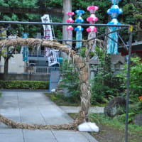 朝の散歩　板橋熊野神社に茅の輪　　　20