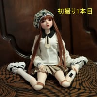 ちっちゃい子　お試し　お迎え