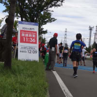 北海道マラソン2018（新川通）