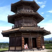 鞠智城（きくちじょう）に行きました。