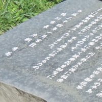 大山千枚田・東京から一番近い棚田の里
