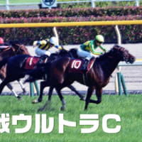 競馬商材レビュー ウルトラC