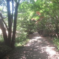 心地良い風に吹かれて糸の切れた風船のように