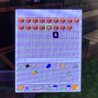 05_今日はマイクラずくしでした。