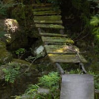 涼を求めて