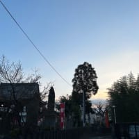 トラからウサギへ。優しさが溢れる一年に。