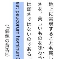 美しきものは少数者のものなり