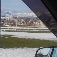 雪降っちゃいました