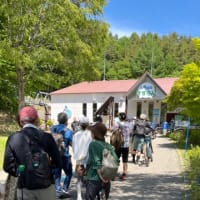 入笠山湿原の”すずらん祭り”