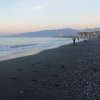 2025/06/17　火　国府津海岸