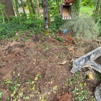 竹藪からゴミ発掘