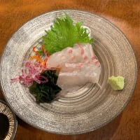 宇和島に行ってまいりました