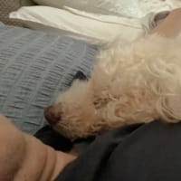 はてなブログへの引っ越し