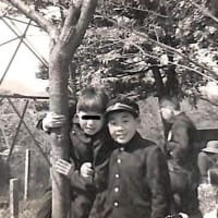 怪奇写真 （遠足）