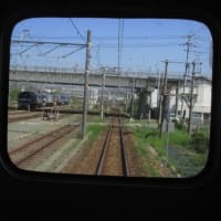 山陽本線115系T編成　2両編成の短い電車　2024-05-03