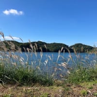 朝から元気もらえます(^^)/