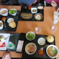 外食に行ってきました♬　白梅の森より