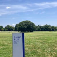 昭和記念公園を走りました。