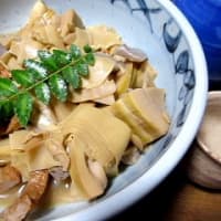 一昨日の朝ドローンにて足王様