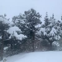 また降った〜