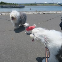 もう10年。