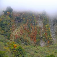 悪城の壁。。。