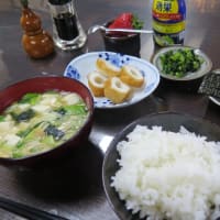 これなら！