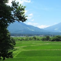 心まで癒された...