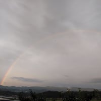 雨の後　キレイな虹が