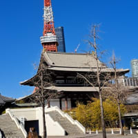 涅槃会