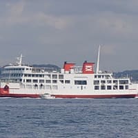 2025年8度目の虎狩り（2025年4月6日）