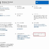 Windows Terminal 1.22.11751.0 （ストア版）がリリースされました。