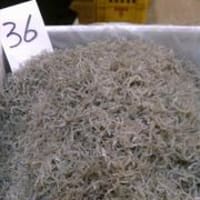 四国,高知の海産物、干物の島田海産食品、本日セリの商品一覧です