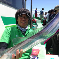 タチウオジギング開幕！　2015東京湾太刀魚