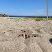 夏だ砂浴だ