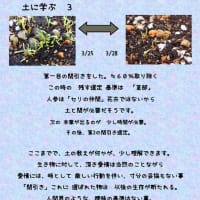  土に学ぶ　３