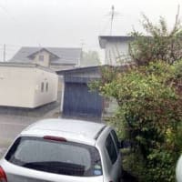 昨日午後は今年2回目の雷雨