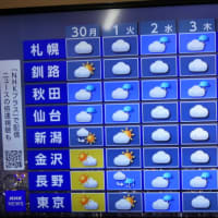 今週の予定　2025年6月29日（日）～2025年7月5日（土）