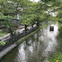 行き先にも司馬遼太郎の影響あり