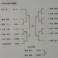 第24回全少新潟県予選会の記録（組手競技）