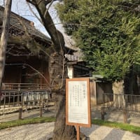 おでかけ色々…