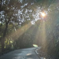 光芒　外平にて