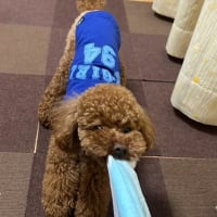 術後３日目！
