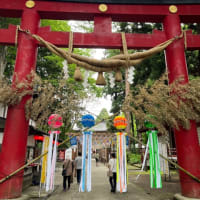 お久しぶりです。伊佐須美神社のあやめ祭り