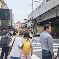 実は、カミさんが来ていました。