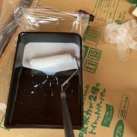 壁の下塗り🏠
