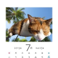 突然の春と黄砂…隣の山田さん花粉症です　(；一_一)