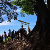日和田山、二ノ鳥居