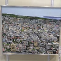 第76回 沖展