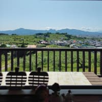 mi cafeへ